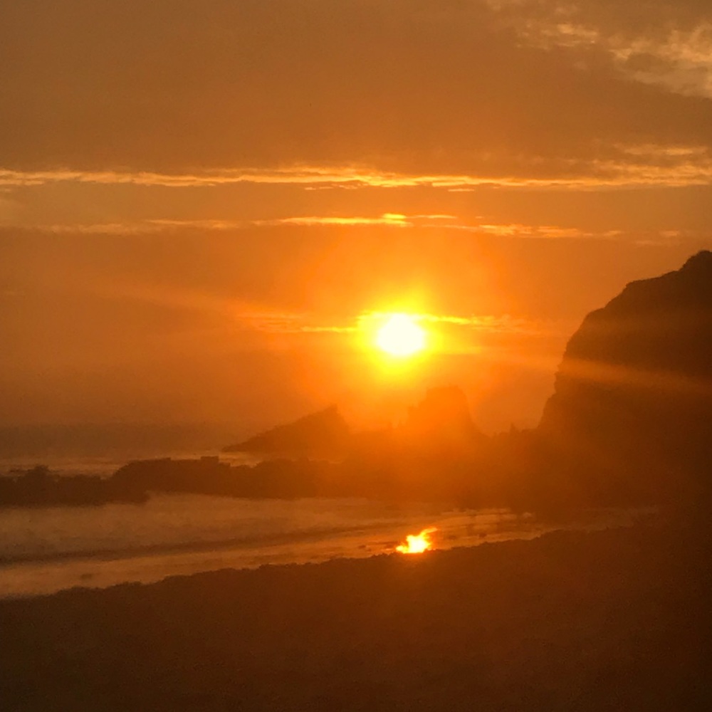 Meet your Posher, Monica